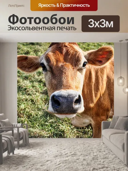 LotsPrints Фотообои "Корова, джерси, молочные продукты" 3x3м