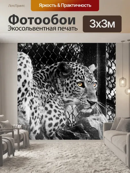 LotsPrints Фотообои "Джунгли кошка, леопард, охотник" 3x3м