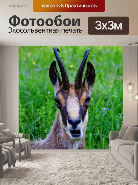 LotsPrints Фотообои "Животное, серна, дикое животное" 3x3м