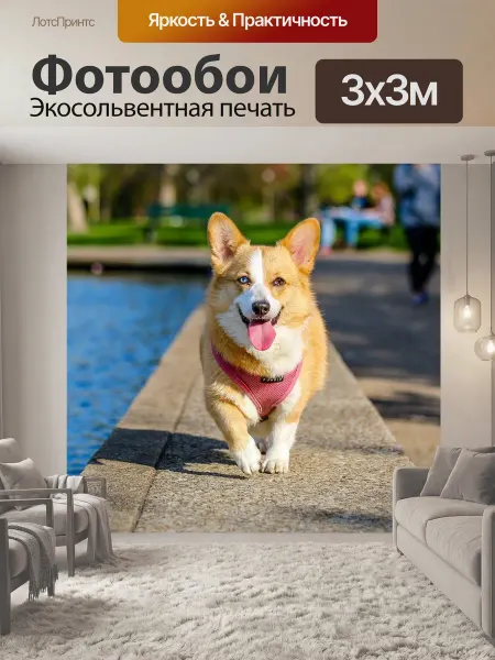 LotsPrints Фотообои "Животное, собака, домашний питомец" 3x3м
