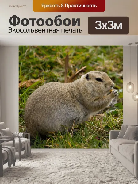 LotsPrints Фотообои "Еда, суслик, коричневый" 3x3м