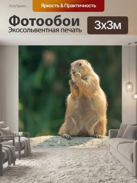 LotsPrints Фотообои "Сурок стоя Сурок в зоопарке животное." 3x3м