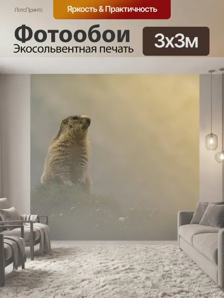 LotsPrints Фотообои "Сурок, животное, природа" 3x3м