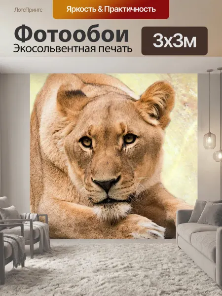 LotsPrints Фотообои "Лев, львица, хищник" 3x3м