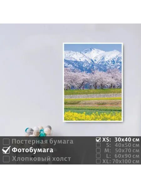 ПолиЦентр Постер на фотобумаге Весна В Горах, 30х40 см