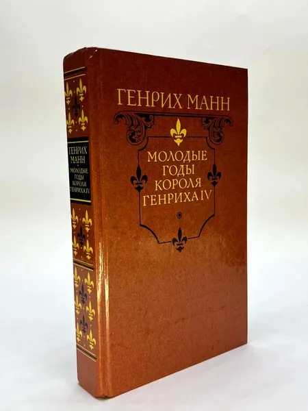 Молодые годы короля Генриха IV