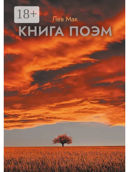 Ridero Книга поэм