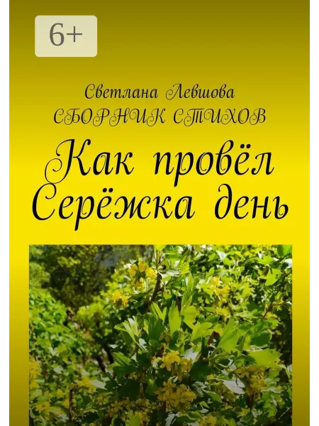 Ridero Как провёл Серёжка день