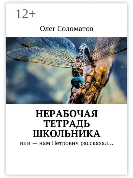 Ridero Нерабочая тетрадь школьника