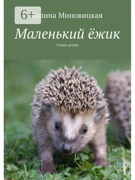 Ridero Маленький ёжик