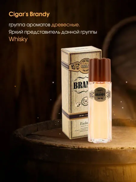 Delta PARFUM Духи стойкие Cigar's Brandy 100 мл мужские