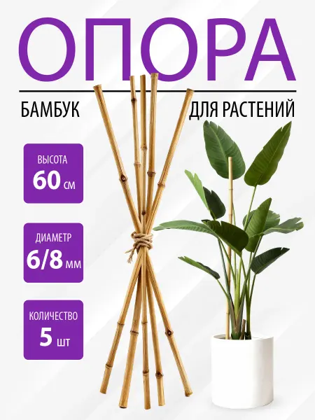 Garden Show Опоры бамбуковые для комнатных растений и сада, 60см, 5 шт