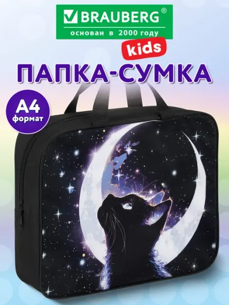 Brauberg Папка сумка для тетрадей, труда, рисования и изо А4 в школу