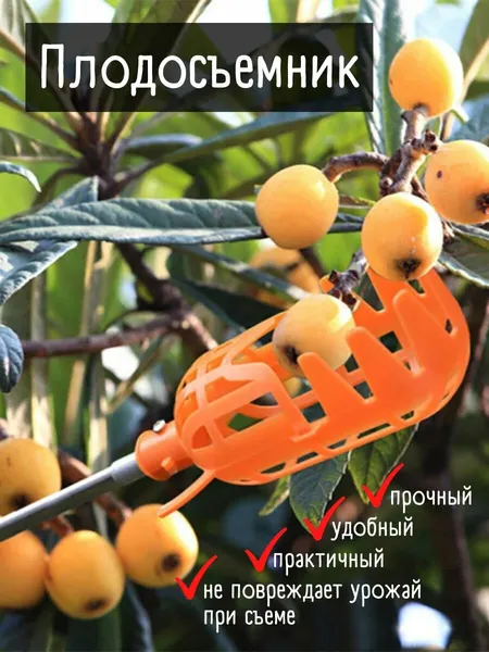 Плодосъемник без черенка Плодосборник