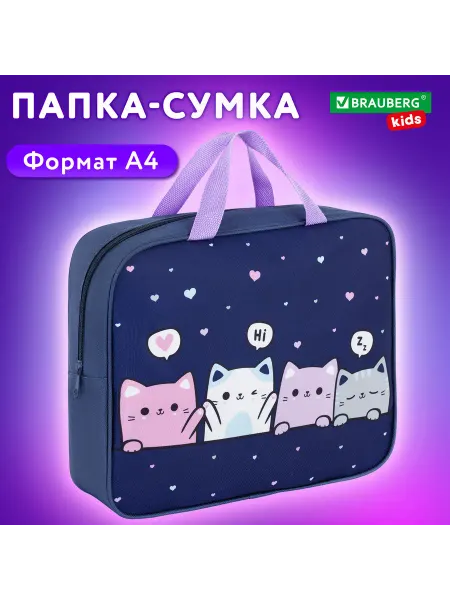 Brauberg Папка-сумка для тетрадей на молнии с ручками А4 школьная