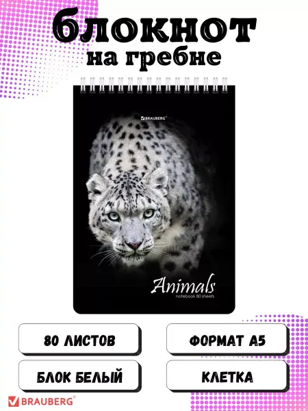 Brauberg Блокнот а5 в клетку на гребне