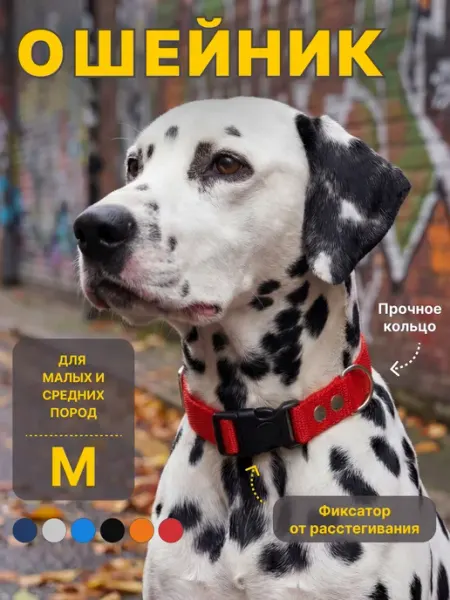 RICH BREED Ошейник для собак мелких и средних пород повседневный