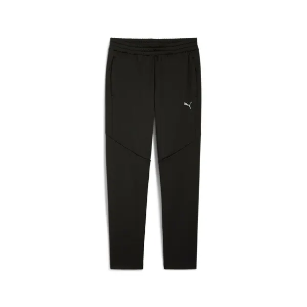 PUMAБрюки спортивные Evostripe