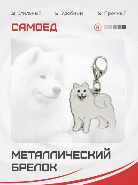RemoveБрелок