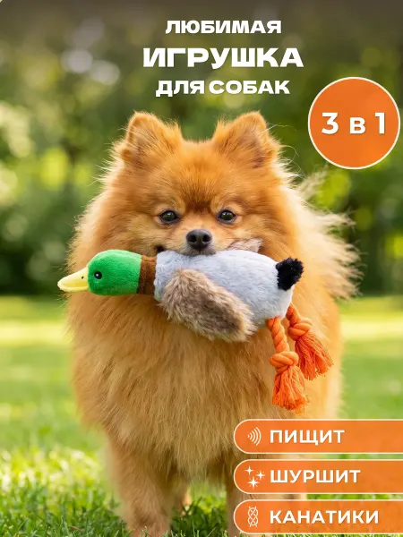 My Bro Игрушка для собак и щенков мелких, крупных пород - Утка