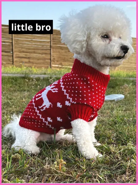 LITTLE BRO Свитер для собак и кошек мелких пород
