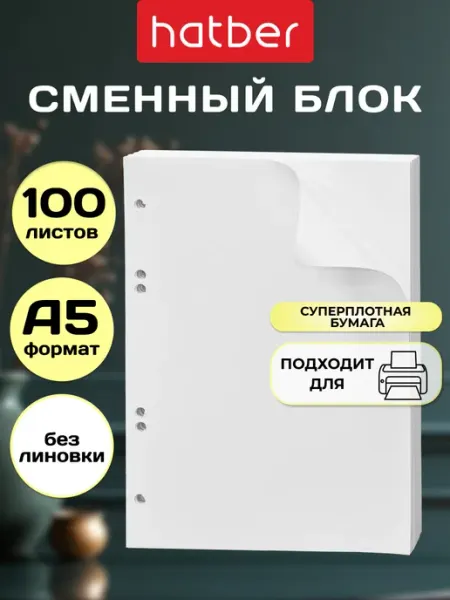 Сменный блок А5 для тетради на кольцах 100 л Hatber