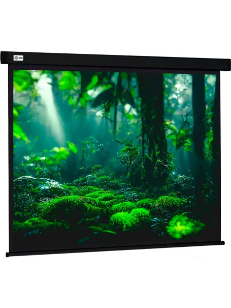 CACTUS Экран для проектора CS-PSW-213X213-BK