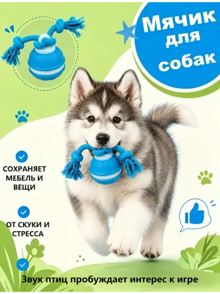 Игрушка для собак интерактивная