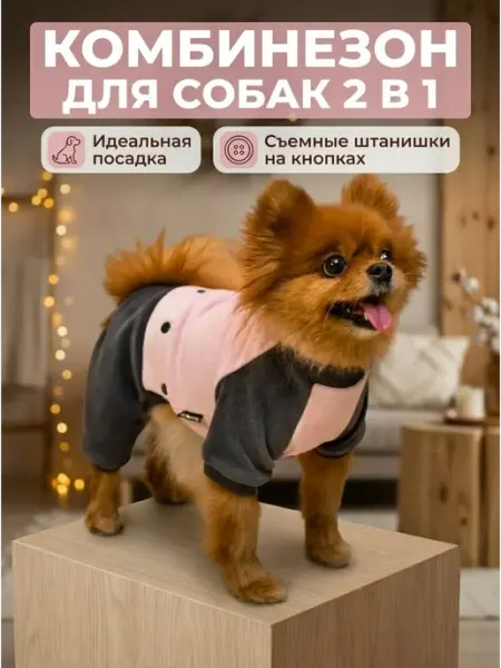 Комбинезон для собак и кошек
