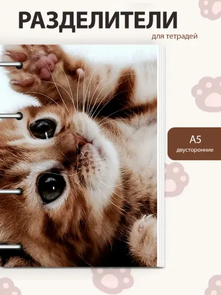 Разделители pinterest для тетради А5, котики из пинтерест StickerHouse Natali Pank