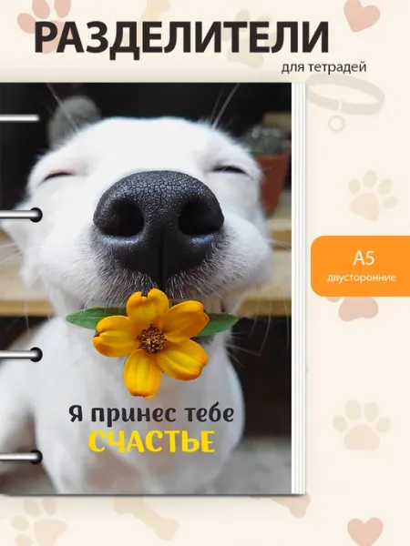 Разделители pinterest для тетради А5, собаки мемы StickerHouse Natali Pank