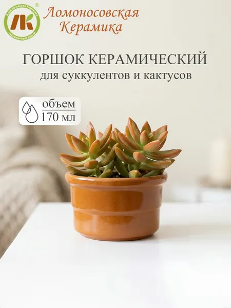 Горшок "Риф", керамика, без поддона, D9 см, 170мл, коричневый