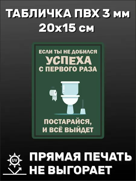 Табличка прикольная на дверь туалета с надписью Если ты не добился успеха с первого раза постарайся, и всё выйдет 20х15 см