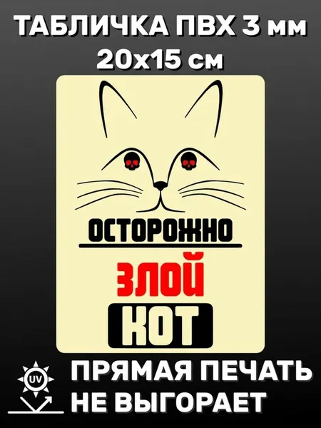Табличка информационная Осторожно злой кот 20х15 см