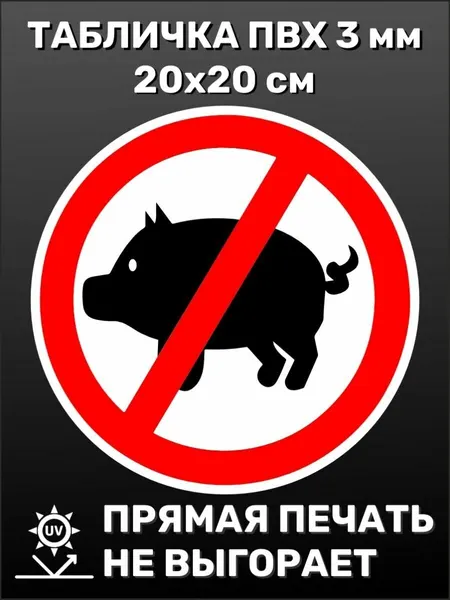 Табличка на дверь прикольная Без свиней 20х20 см