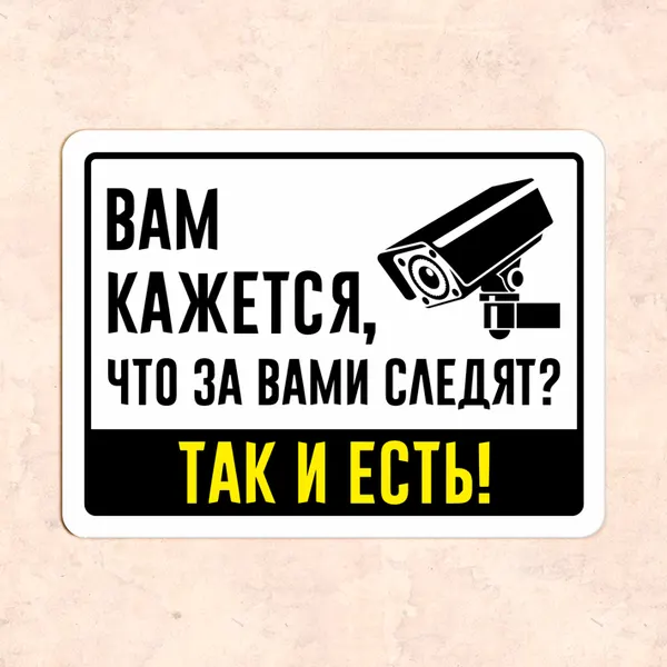 Табличка "Вам кажется, что за вами следят? Так и есть!", 30х22,5 см, УФ-печать, ПВХ