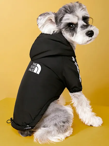 CARING PAWS Куртка для собак