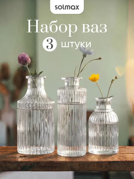 Набор ваз Solmax "Classic Collection", настольные, прозрачные, стекло, 3 шт.
