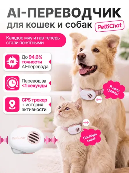 Ошейник переводчик для кошек и собак с ИИ PettiChat