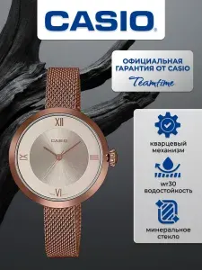 Наручные часы CASIO LTP-E154MR-9A