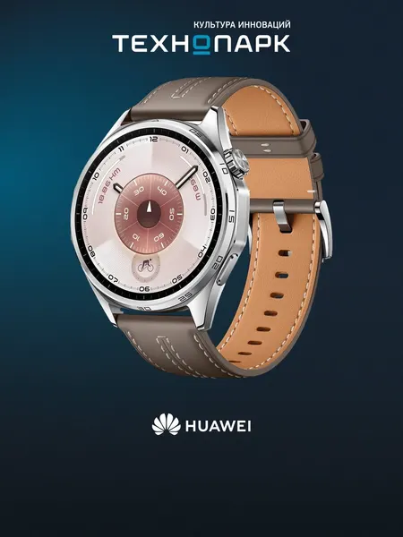 Смарт-часы Huawei Watch GT 6 46 мм Gray (55020FWE)