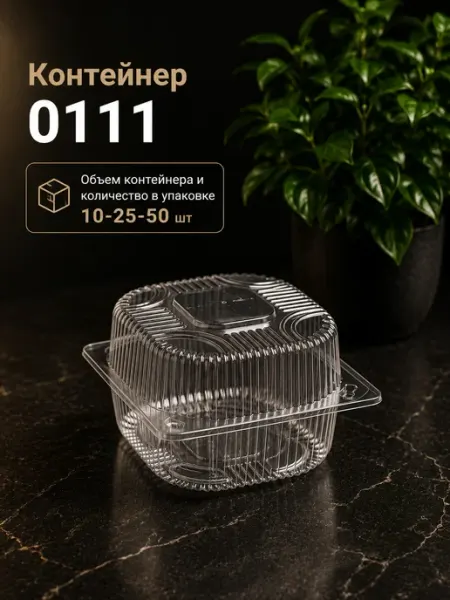 Контейнер 0111