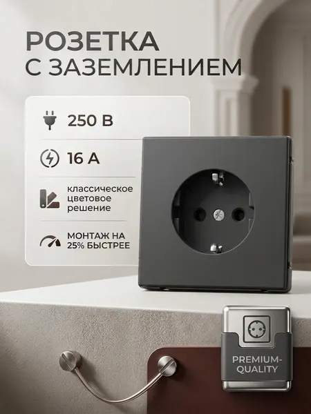 Розетка с заземлением и быстрозажимными клеммами ArtGallery Systeme Electric GAL001043S