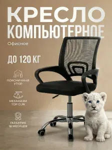 Компьютерное офисное кресло KEIZEN CH-696 с поясничным упором, регулировка высоты, ткань сетка, черный