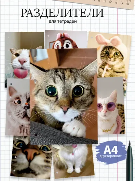 Разделители pinterest для тетради А4, коты из пинтерест MAJIVVI HOME