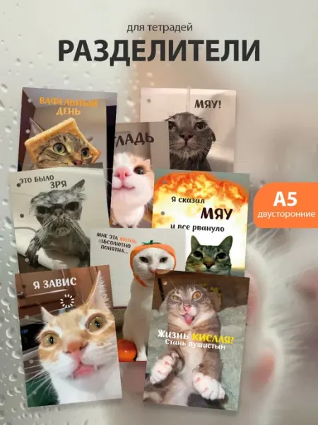 Разделители pinterest для тетради А5, коты мемы из пинтерест ТипоБереста