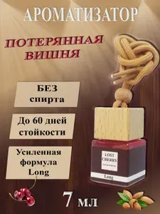 Ароматизатор в машину с ароматом Потерянная вишня Долгая формула / Lost Cherry Long (7мл) / автопарфюм / пахучка в машину