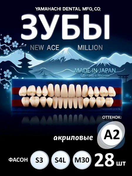 Зубы акриловые, вариант исполнения: NewАсе -двухслойные, Anterior фронтальные верх фасон S3, низ ф. S4L, Million - однослойные, Posterior (фас. M30,) цвет A2; полный гарнитур 28 шт. на планках.