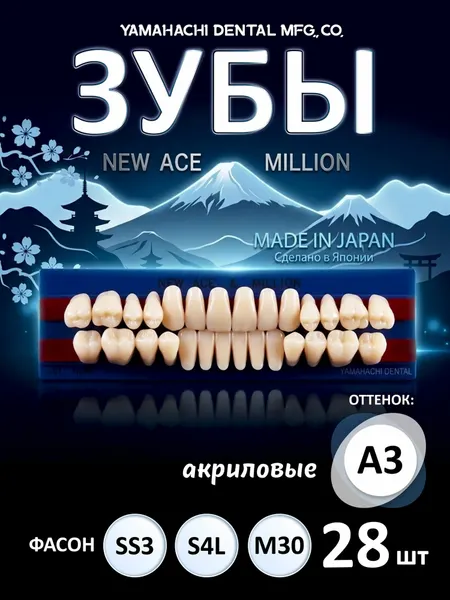 Зубы акриловые, вариант исполнения: NewАсе -двухслойные, Anterior фронтальные верх фасон SS3, низ ф. S4L, Million - однослойные, Posterior (фас. M30,) цвет A3; полный гарнитур 28 шт. на планках.