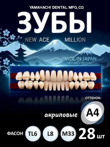 Зубы акриловые, вариант исполнения: NewАсе -двухслойные, Anterior фронтальные верх фасон TL6, низ ф. L8, Million - однослойные, Posterior (фас. M33,) цвет A4; полный гарнитур 28 шт. на планках.
